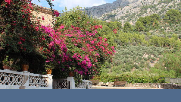 Mallorca Paguera efter�r 2026 - Bella Fri